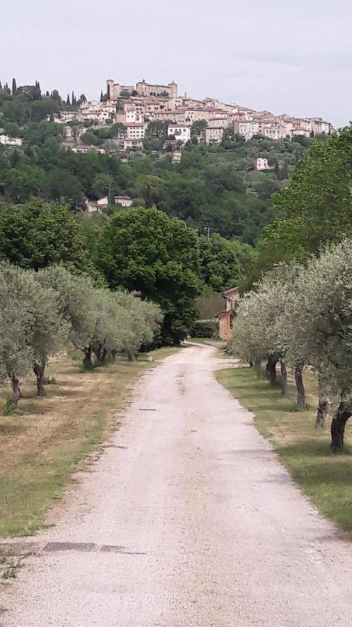 La Rose Des Vents Bed and Breakfast Montauroux Buitenkant foto