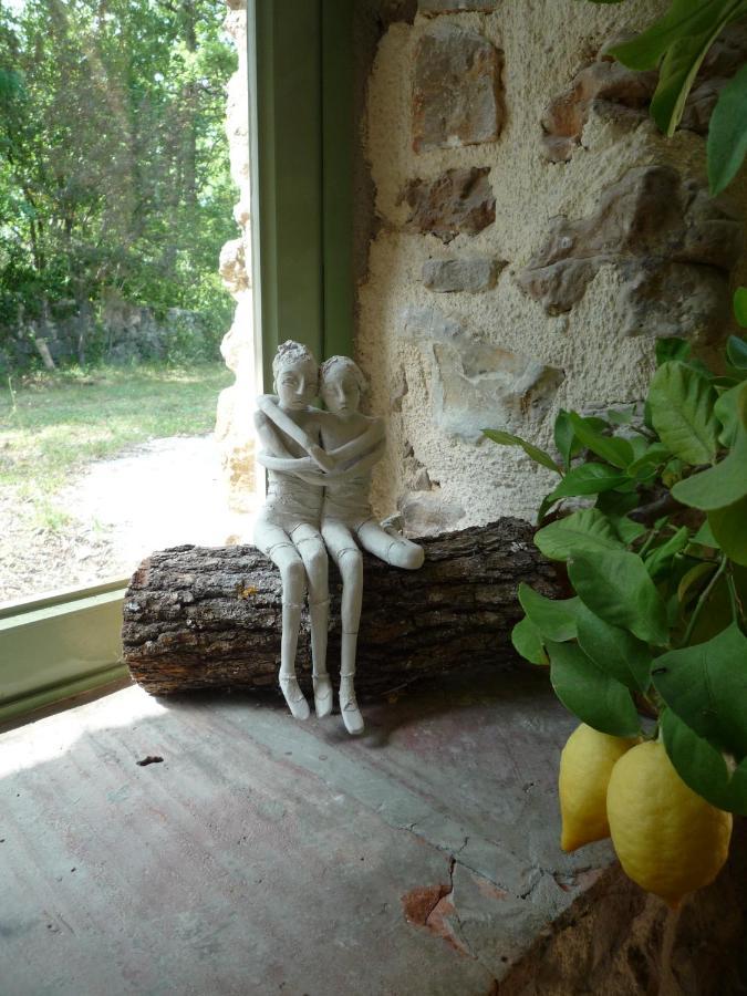 La Rose Des Vents Bed and Breakfast Montauroux Buitenkant foto
