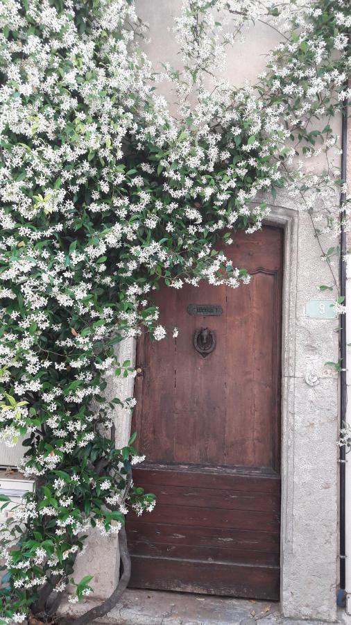 La Rose Des Vents Bed and Breakfast Montauroux Buitenkant foto