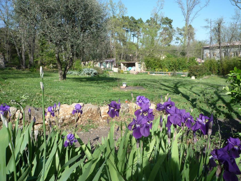 La Rose Des Vents Bed and Breakfast Montauroux Buitenkant foto