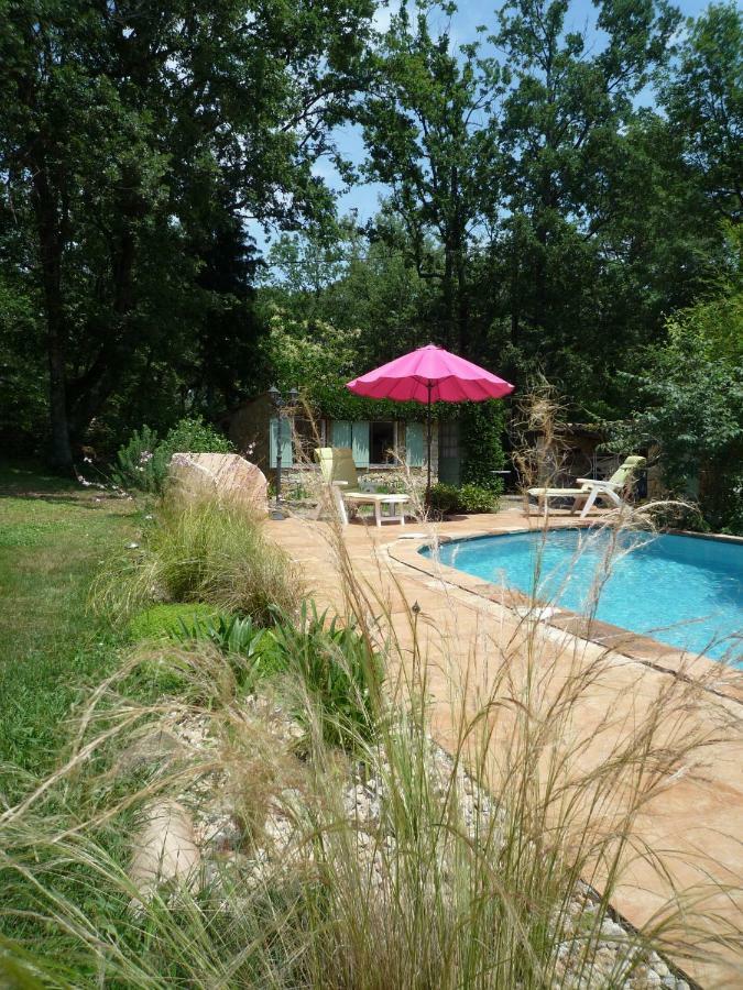 La Rose Des Vents Bed and Breakfast Montauroux Buitenkant foto